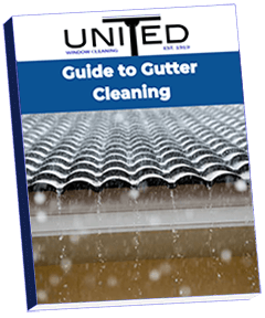 Ebook: Professional Window Cleaning