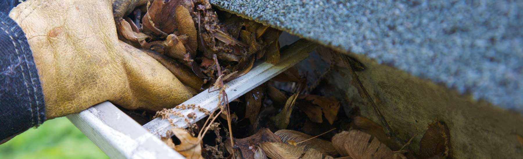 Gutter Cleaning services