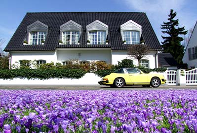 Patch of flowers in front of a Car and Vila