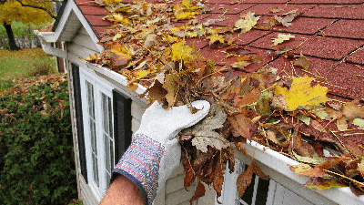 Leaves in gutter