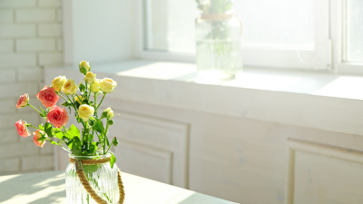 spring flowers with bright light