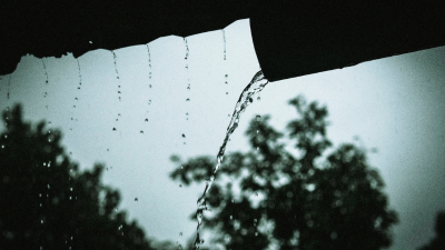 gutter cleaning