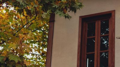 fall window