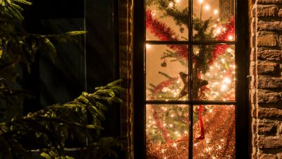 Christmas tree through window