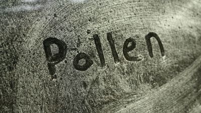 pollen on windows