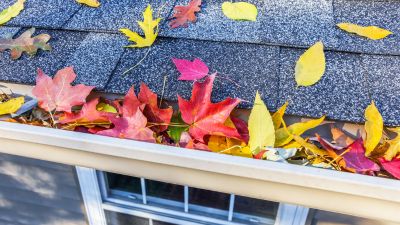 fall leaves in gutters